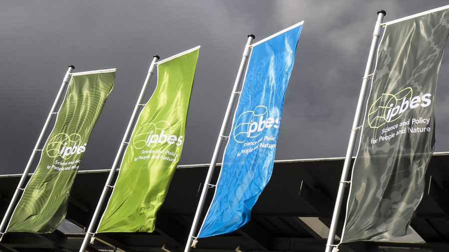 Banner im Wind in unterschiedlichen Farben mit IPBES Logo.